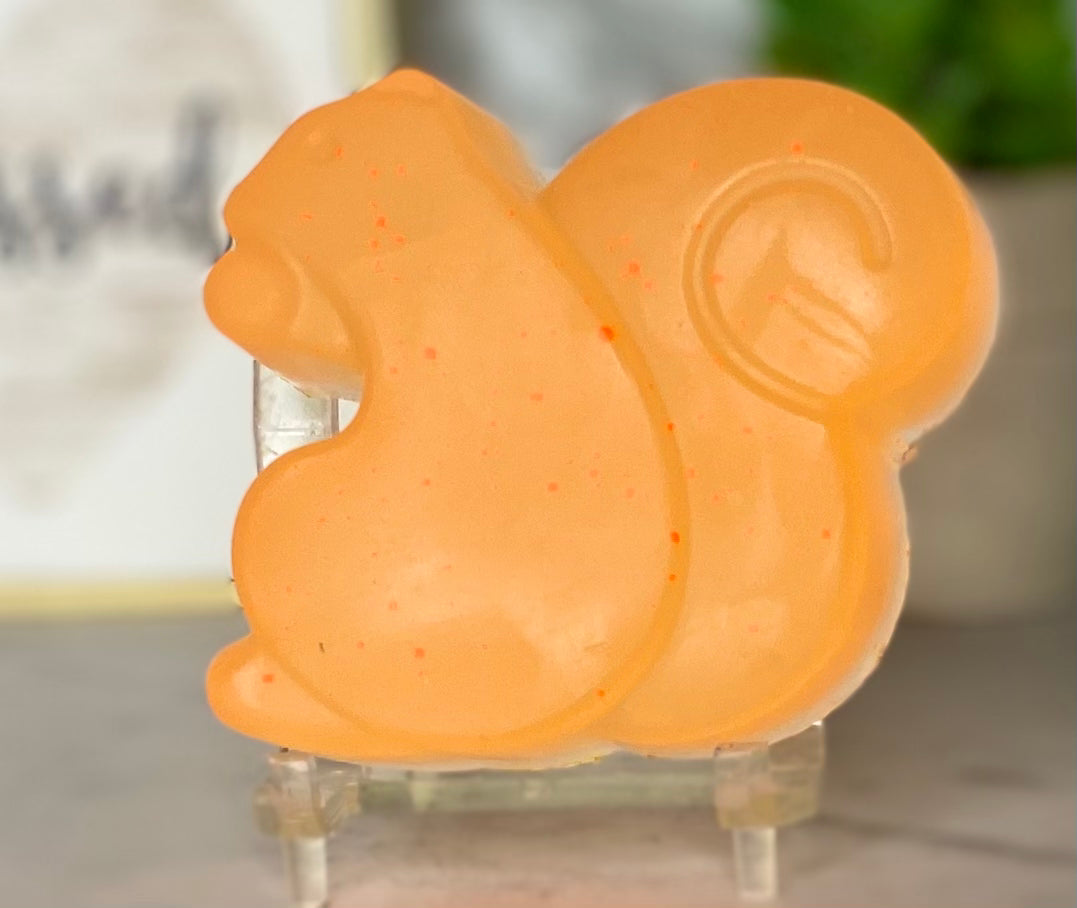 Squirrel Soap